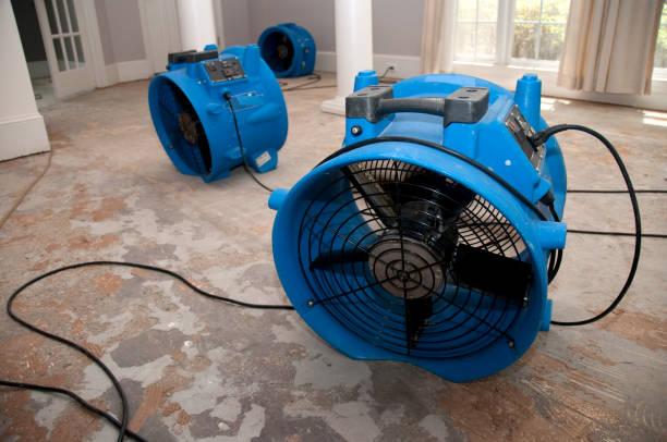 Best Residential water damage restoration  in Garnet, CA