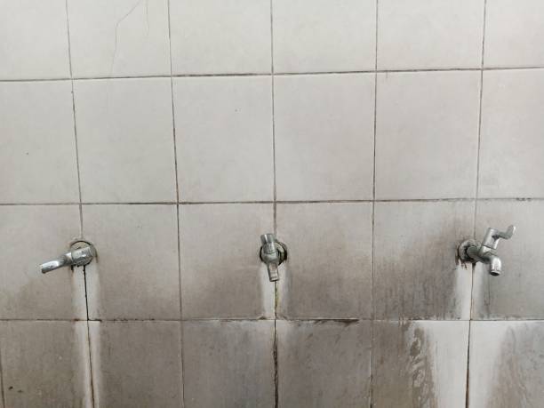 Best Flood damage cleanup  in Garnet, CA